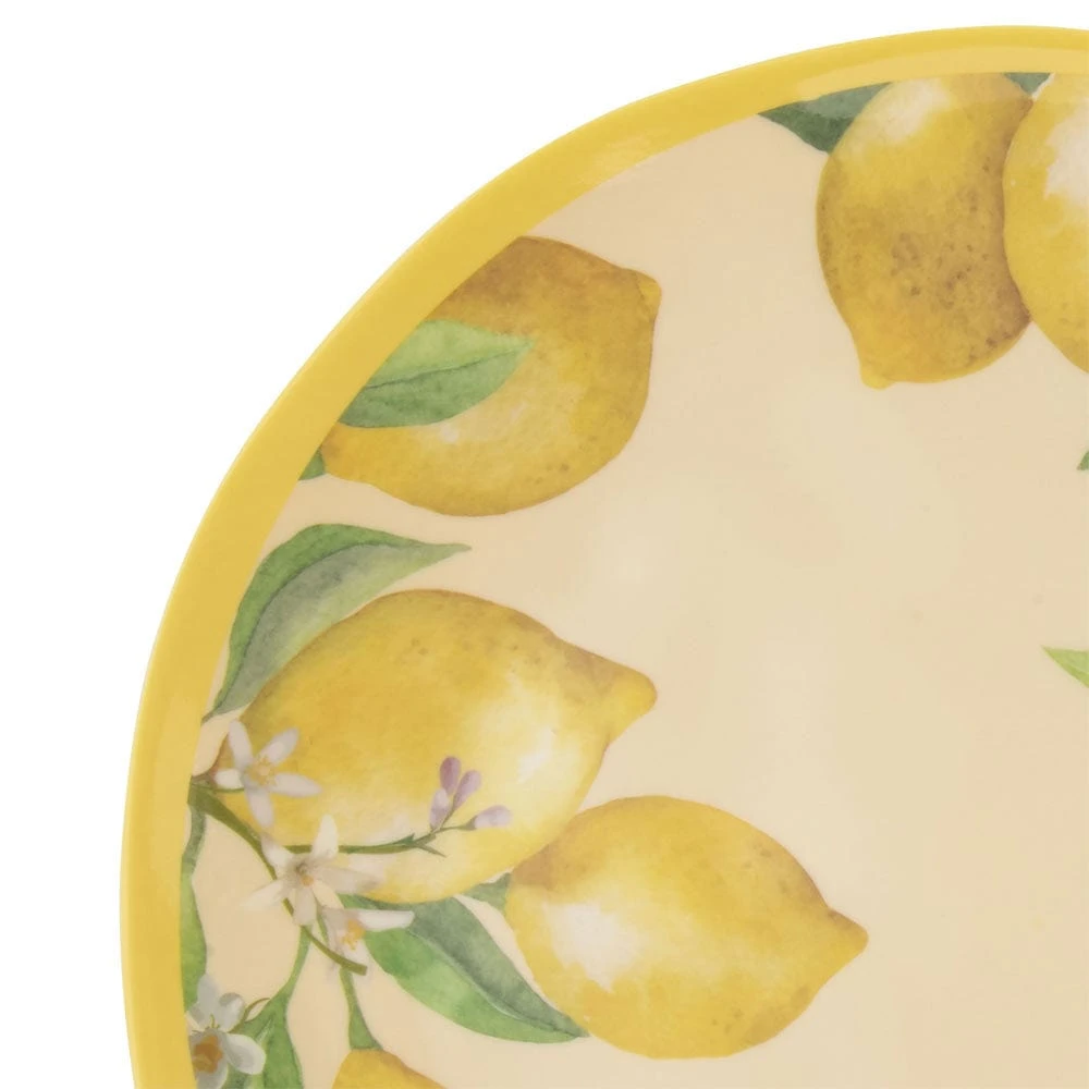 Lemons Outdoor Melamine Dinnerware Set 6 Lemons Outdoor Melamine Dinnerware Set - Image 4