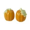 Plymouth Pumpkin Salt And Pepper Set -Kitchen Supplies Shop plymouth pumpkin salt and pepper set 5102521 1